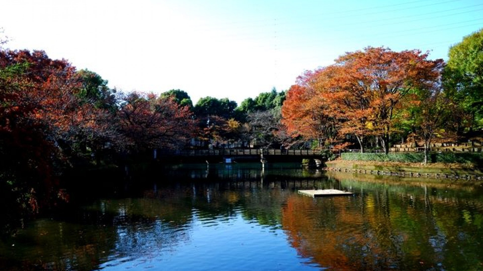 🌳 카누마 공원 (카누마 코엔) 이미지 6
